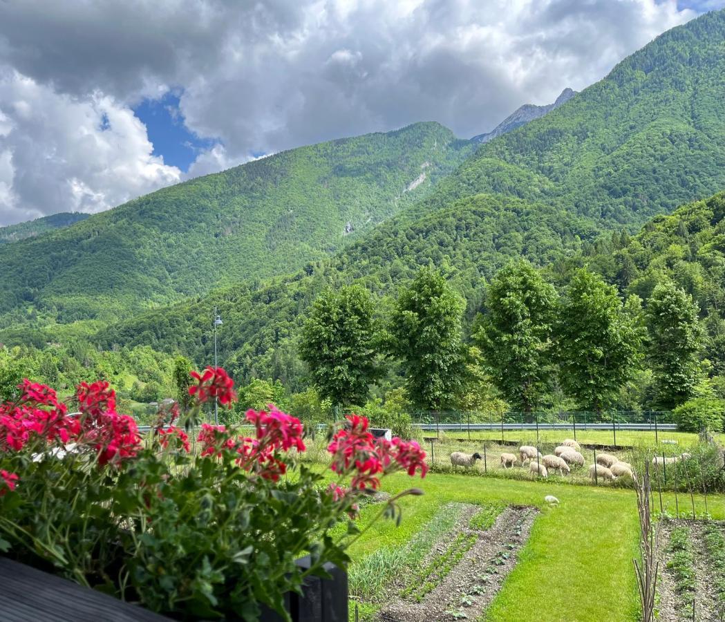 Residenza La Ciasa Aparthotel Claut Bagian luar foto